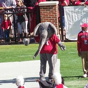 Meet your Posher, Sherry